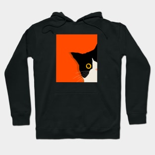 Maine Coon Black White Cat Illustration Hoodie